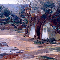 Viejos sauces a orillas del Zadorra