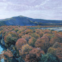 El bosque en Noviembre. Luco
